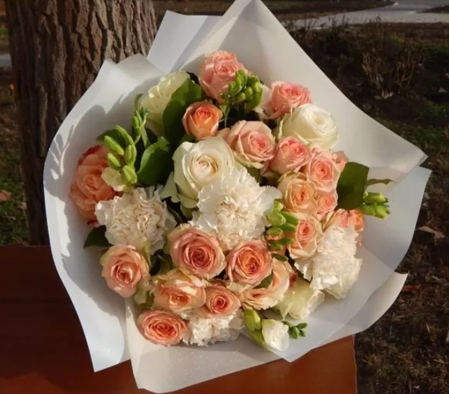 Бархатный рассвет